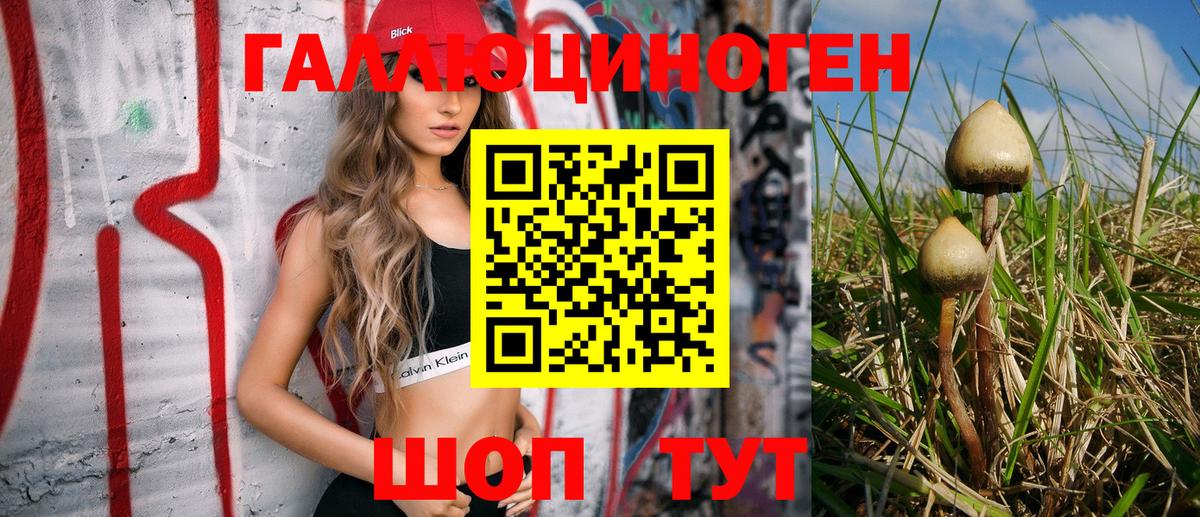 Соль-Илецк  Галлюциногенные грибы Cubensis  Вход с VPN 