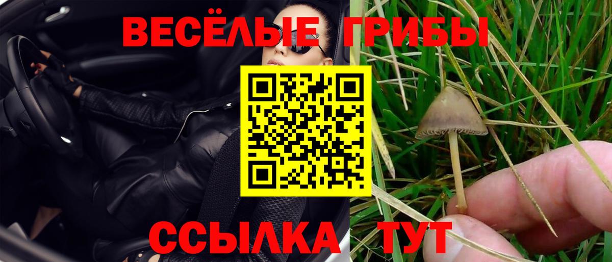 Галлюциногенные грибы Magic Shrooms Соль-Илецк